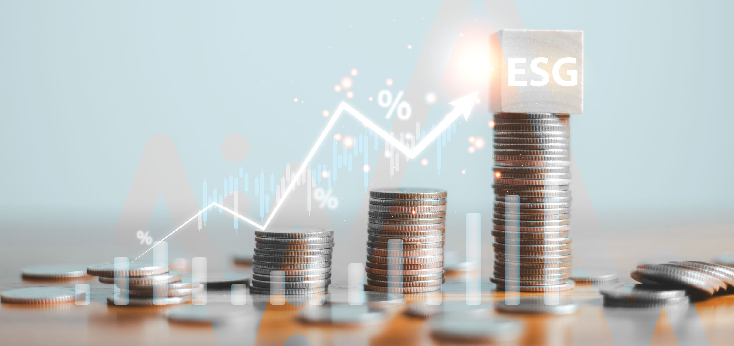 ESG in the Financial Sector